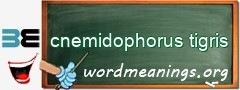 WordMeaning blackboard for cnemidophorus tigris